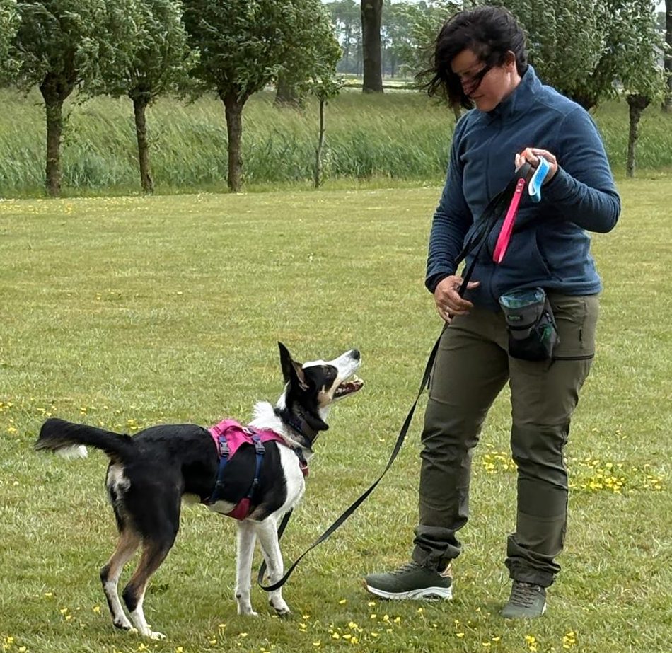 instructeur opvoeding